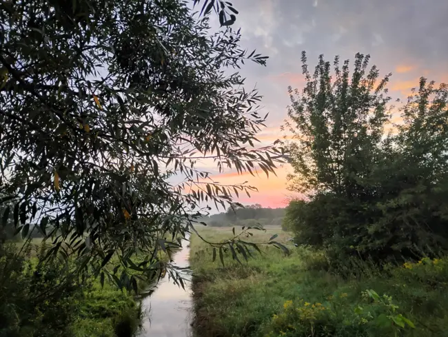 trashed-1728024902-IMG_20240818_052852834_HDR