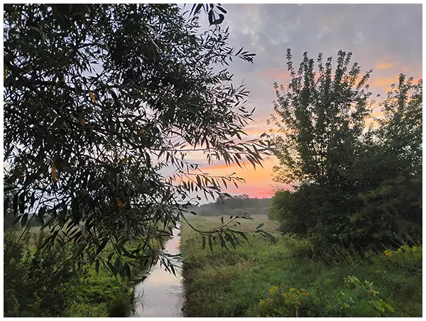 trashed-1728024902-IMG_20240818_052852834_HDR